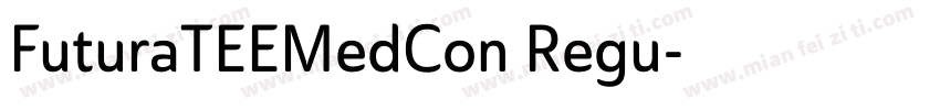 FuturaTEEMedCon Regu字体转换